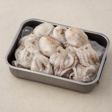 바다자리 생 주꾸미, 1kg, 1개