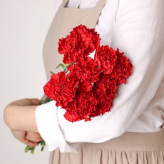 생화 카네이션 다발, 레드