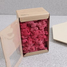 스칸디아모스 이끼 씨클라멘 150g, 1개