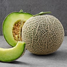 올프레쉬 과일소믈리에가 고른 프리미엄 메론, 1.2kg, 1개