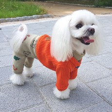 오즈세컨양말