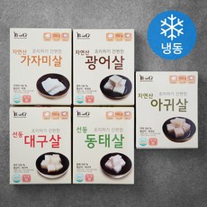 비엔지푸드 흰살 생선 100g x 5종 세트 (냉동), 1세트