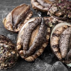 아라보감 바닷속 그대 왕 국산 자연산 전복, 1kg(특대, 7~9미), 1개