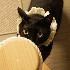 슬로우칸쿤
