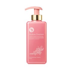 TS 퍼퓸 탈모 기능성 트리트먼트, 1개, 500ml