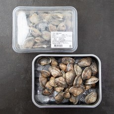 남해안 바지락, 1kg, 1개