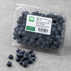 푸드베이스 GAP 인증 국내산 블루베리, 500g, 1개