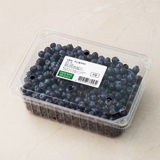푸드베이스 작아도 맛있는 블루베리, 1kg, 1개