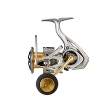 DAIWA 21個普里姆, 混色, LT 5000-CXH