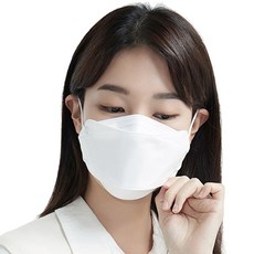 늘푸른 황사 방역 마스크 중형 KF80, 1개입