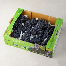 올과 남원 GAP 인증 캠벨 포도 7~12수, 3kg, 1개