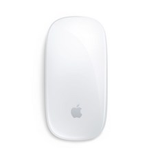 Apple 2021년 Magic Mouse, 화이트