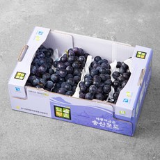 해풍머금은 잎맞춤 GAP 인증 송산 포도, 1.5kg(3~6송이), 1개