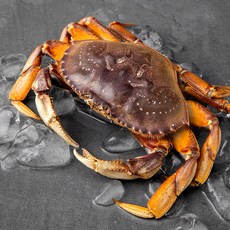 바이킹마켓 던지네스 크랩, 700g, 1개