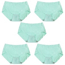 미퓨어 여성용 심플 나일론 무봉제 노라인 팬티 5p