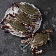 살맛나요 서해안 산지직송 생물 꽃게 3~5미 (냉장), 1kg, 1박스