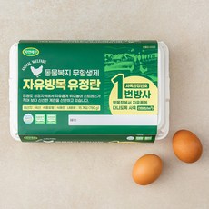 백색유정란