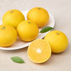 탐라황감 서귀포 황금향(꼬마과), 1.2kg(6~10입), 1개