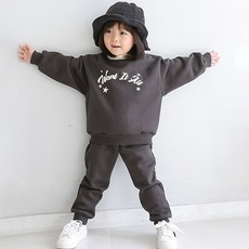 내장산복분자9호