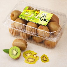 올바른과일 그린 키위 1.5kg 14-~16입 + 칩 5g, 1세트