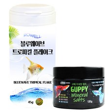 로웰 블루웨이브 트로피컬 플레이크 열대어사료 45g + 구피 미네랄 솔트 120g 세트, 1세트