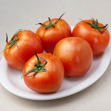 광식이농장 GAP 인증 완숙 토마토, 1kg, 1개
