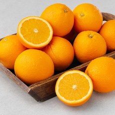 세콰이어 오렌지 11~12입, 2.1kg(중과), 1개