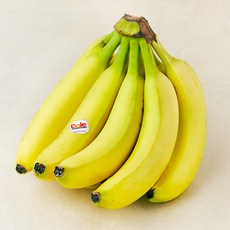 추천2 바나나