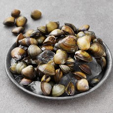 엠수산 국내산 생물 재첩 (냉장), 300g, 1개