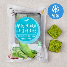우리땅 무농약원료 가공식품 인증 다진 애호박 (냉동), 100g, 1개