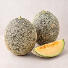 느영나영 GAP 인증 청하미과 메론 2수, 1.6kg, 2개