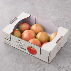 벌이 수정한 무농약 인증 광주 찰 토마토, 1.5kg, 1개