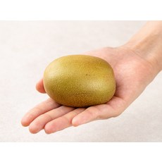 제스프리 썬골드키위, 1kg, 1개 - 이미지 2