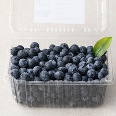 좋은하루 생생 GAP 인증 블루베리, 800g, 1개