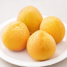 다조은 살구, 300g, 1팩
