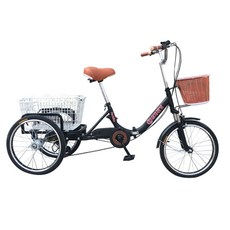 닥터바이크 접이식 삼륜 인삼 자전거 YGB-0020, 블랙, 170cm