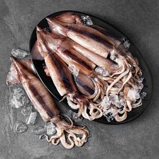 살맛나요 국내산 서해안 산지직송 생물오징어 (냉장), 1개, 2.2kg(10미)