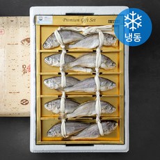 영광수협 몸애좋은 굴비 10미 선물세트 (냉동), 900g, 1세트