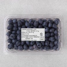 선우마케팅 미국산 블루베리, 1개, 311g