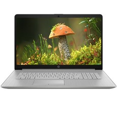 HP 2022 노트북 17s, cu0016TU, WIN11 Home, 8GB, 256GB, 코어i3, 네추럴 실버