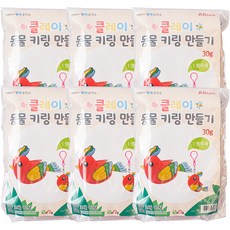 이지피아 아키우네클레이 동물키링만들기 앵무새 6세트, 혼합색상, 6개