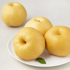 산지직송 저탄소 인증 안성 신고 배, 1개, 2kg(3~4입)