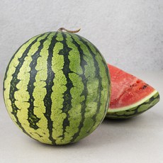 산지직송 수토마켓 못난이수박, 1개, 3kg 이상