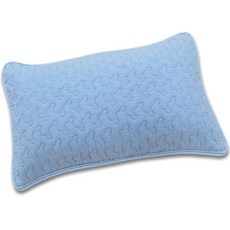편백아트 프리미엄 편백 구슬형칩 베이직 베개, 하늘, 1개