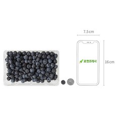 엠팍 칠레산 생블루베리, 310g, 1개