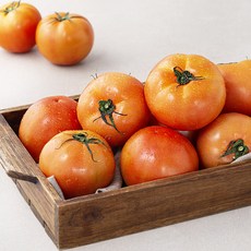 수토마켓 GAP 인증 완숙토마토, 2.5kg, 1개