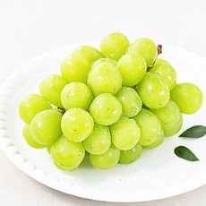 모서랑 농협 GAP 인증 샤인머스켓, 450g, 1개