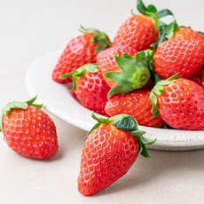 산지직송 과일진심 산청 GAP 인증 장희딸기(특), 500g, 1개