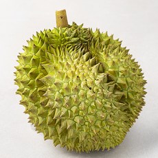 과일엔 태국산 생두리안 몬통, 2kg 내외, 1개