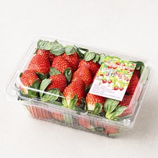 산지직송 스마트팜 김제 설향딸기 상, 750g, 1개